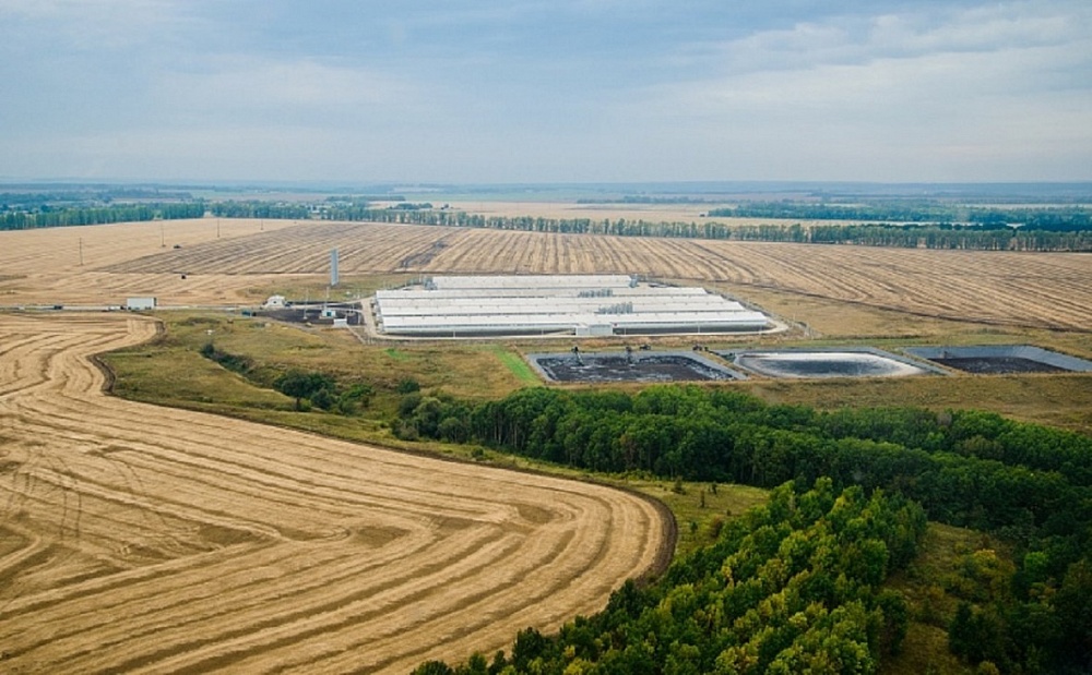 Мираторг Курск