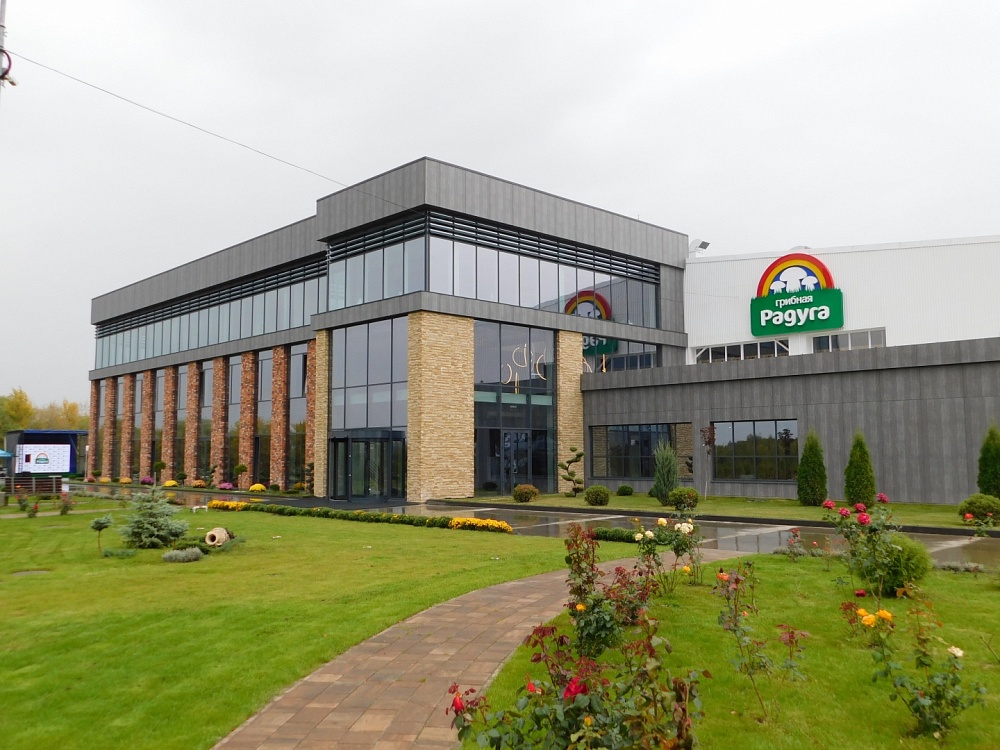 Грибная радуга